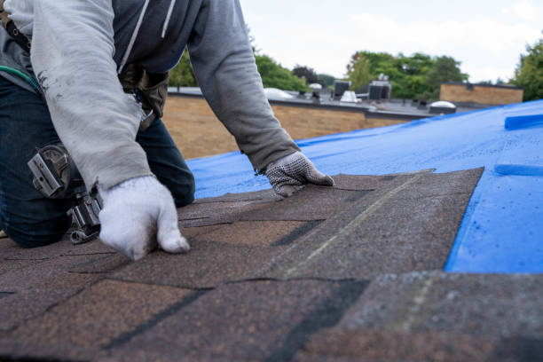 Best Metal Roofing Contractor  in Hoopers Creek, NC